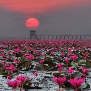 Meet your Posher, Oksana